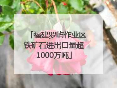 福建罗屿作业区铁矿石进出口量超1000万吨