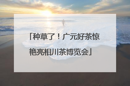 种草了！广元好茶惊艳亮相川茶博览会