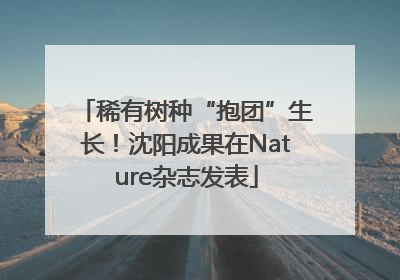稀有树种“抱团”生长！沈阳成果在Nature杂志发表