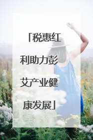 税惠红利助力彭艾产业健康发展