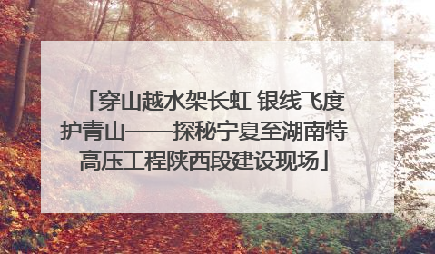 穿山越水架长虹 银线飞度护青山——探秘宁夏至湖南特高压工程陕西段建设现场