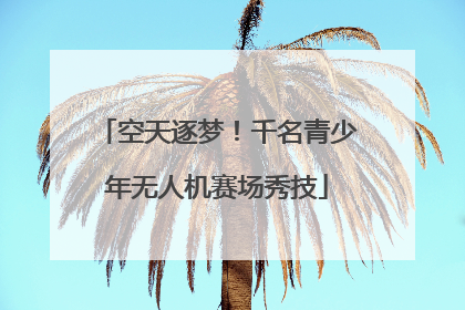 空天逐梦！千名青少年无人机赛场秀技