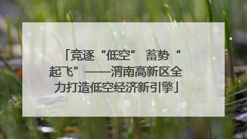 竞逐“低空” 蓄势“起飞”——渭南高新区全力打造低空经济新引擎