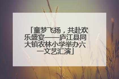 童梦飞扬，共赴欢乐盛宴——庐江县同大镇农林小学举办六一文艺汇演