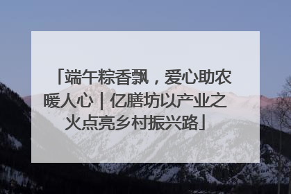 端午粽香飘，爱心助农暖人心｜亿膳坊以产业之火点亮乡村振兴路
