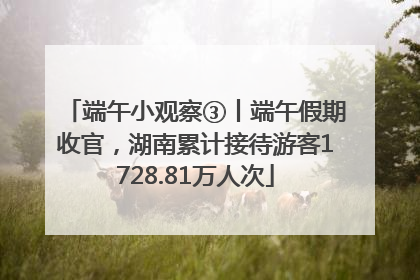 端午小观察③丨端午假期收官，湖南累计接待游客1728.81万人次