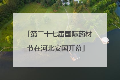第二十七届国际药材节在河北安国开幕