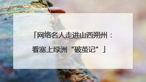 网络名人走进山西朔州：看塞上绿洲“破茧记”