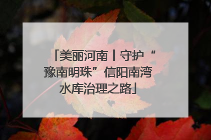美丽河南丨守护“豫南明珠”信阳南湾水库治理之路