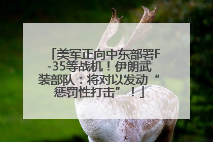 美军正向中东部署F-35等战机！伊朗武装部队：将对以发动“惩罚性打击”！