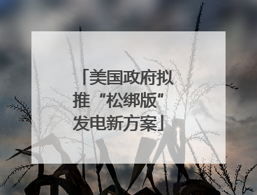 美国政府拟推“松绑版”发电新方案