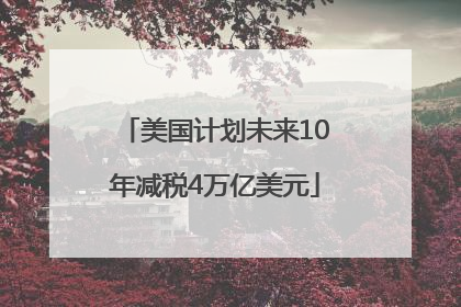 美国计划未来10年减税4万亿美元