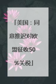 美国：同意推迟对欧盟征收50%关税