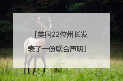 美国22位州长发表了一份联合声明