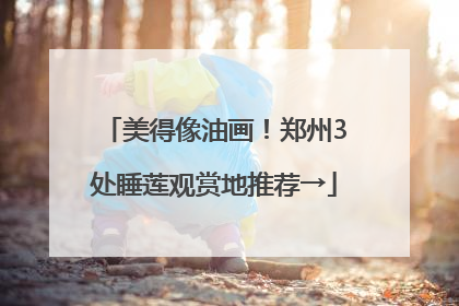 美得像油画！郑州3处睡莲观赏地推荐→