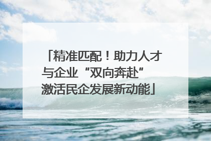 精准匹配！助力人才与企业“双向奔赴” 激活民企发展新动能