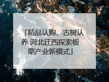精品认购、古树认养 河北迁西探索板栗产业新模式