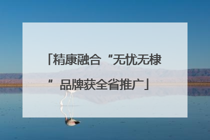 精康融合“无忧无棣”品牌获全省推广