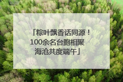 粽叶飘香话同源！100余名台胞相聚海沧共度端午