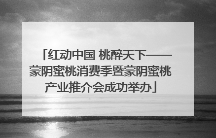 红动中国 桃醉天下——蒙阴蜜桃消费季暨蒙阴蜜桃产业推介会成功举办
