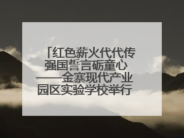 红色薪火代代传 强国誓言砺童心——金寨现代产业园区实验学校举行分批入队仪式