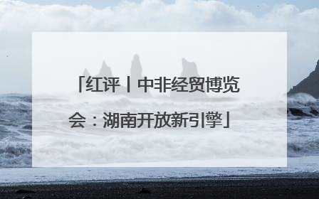 红评丨中非经贸博览会：湖南开放新引擎