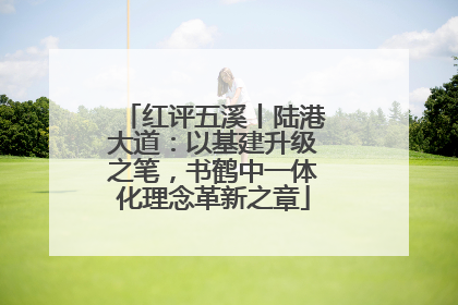 红评五溪丨陆港大道：以基建升级之笔，书鹤中一体化理念革新之章