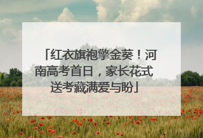 红衣旗袍擎金葵！河南高考首日，家长花式送考藏满爱与盼