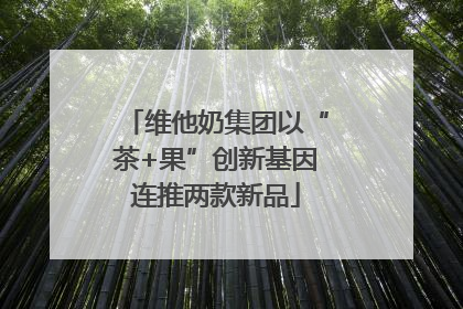 维他奶集团以“茶+果”创新基因连推两款新品