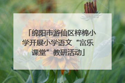 绵阳市游仙区梓棉小学开展小学语文“富乐课堂”教研活动