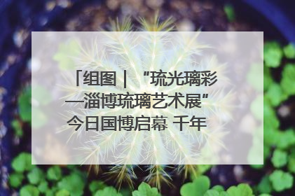 组图｜“琉光璃彩—淄博琉璃艺术展”今日国博启幕 千年窑火绽放京城