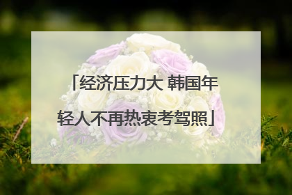 经济压力大 韩国年轻人不再热衷考驾照