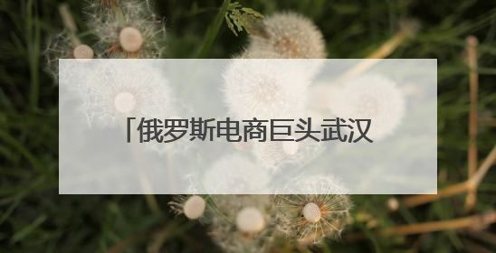 俄罗斯电商巨头武汉产业孵化基地落地江夏，今年预计入驻上千家湖北跨境卖家