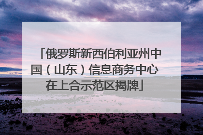 俄罗斯新西伯利亚州中国（山东）信息商务中心在上合示范区揭牌