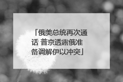 俄美总统再次通话 普京透露俄准备调解伊以冲突