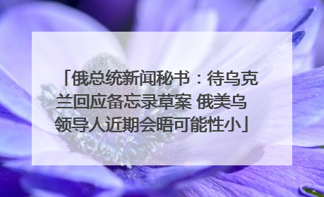 俄总统新闻秘书：待乌克兰回应备忘录草案 俄美乌领导人近期会晤可能性小