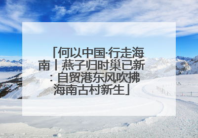 何以中国·行走海南丨燕子归时巢已新：自贸港东风吹拂 海南古村新生