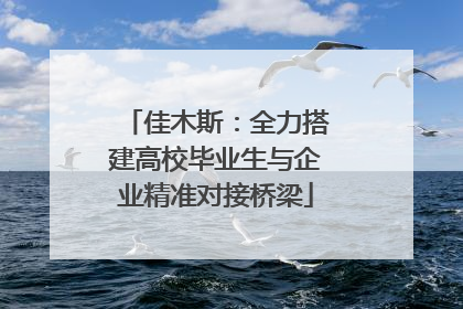 佳木斯：全力搭建高校毕业生与企业精准对接桥梁