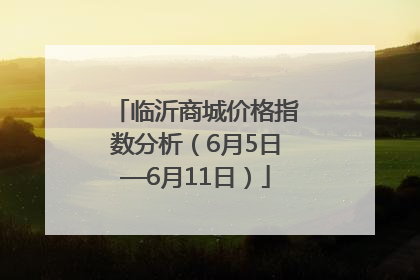 临沂商城价格指数分析（6月5日—6月11日）