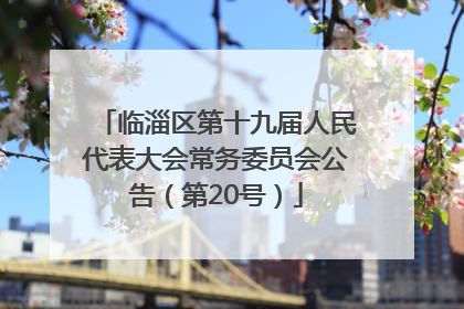 临淄区第十九届人民代表大会常务委员会公告（第20号）