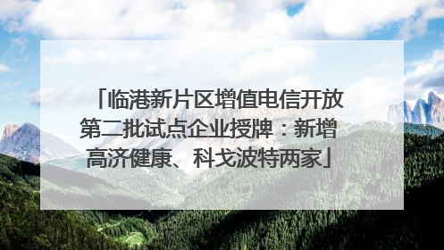 临港新片区增值电信开放第二批试点企业授牌：新增高济健康、科戈波特两家