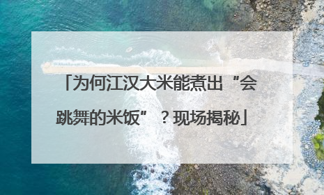 为何江汉大米能煮出“会跳舞的米饭”？现场揭秘