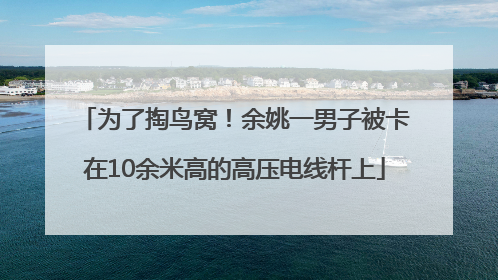 为了掏鸟窝！余姚一男子被卡在10余米高的高压电线杆上