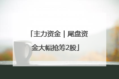 主力资金｜尾盘资金大幅抢筹2股