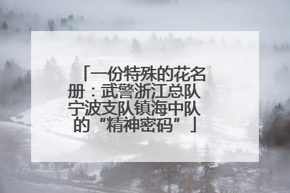 一份特殊的花名册：武警浙江总队宁波支队镇海中队的“精神密码”