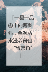 一县一品⑥丨向海图强，金融活水滋养舟山“致富鱼”