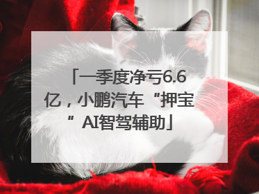 一季度净亏6.6亿，小鹏汽车“押宝”AI智驾辅助