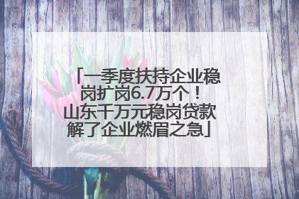 一季度扶持企业稳岗扩岗6.7万个！山东千万元稳岗贷款解了企业燃眉之急