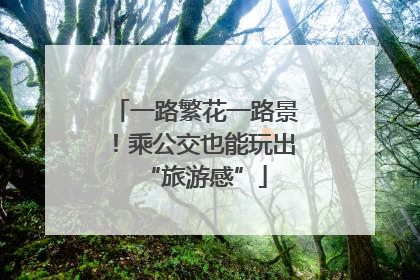 一路繁花一路景！乘公交也能玩出“旅游感”
