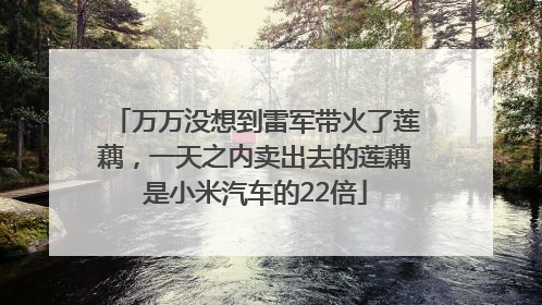 万万没想到雷军带火了莲藕，一天之内卖出去的莲藕是小米汽车的22倍